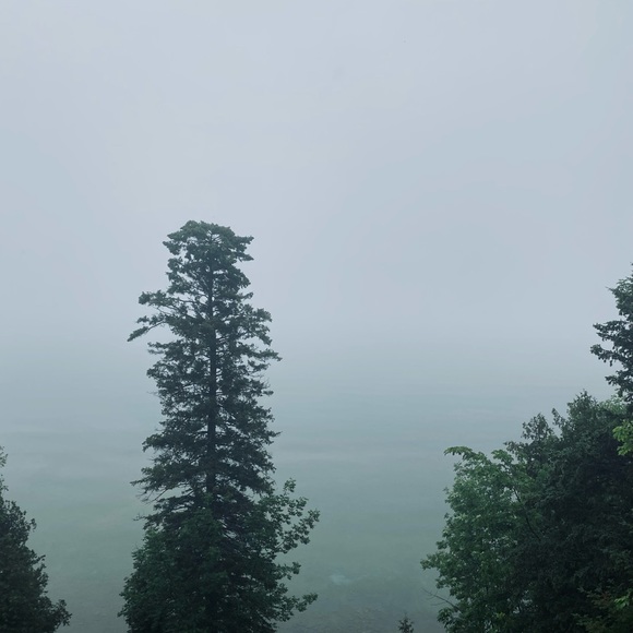 Meet your Posher, Sandra - Picture 1 of 1